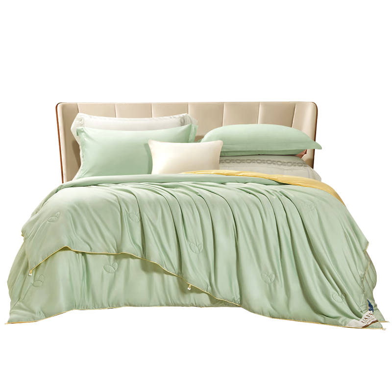 FUANNA Silk Comforter, 100% Mulberry Silk Duvet, Double Cocoon Winter Thickened Quilt, King Size, 12 Jin (6 Kg), 230*229cm