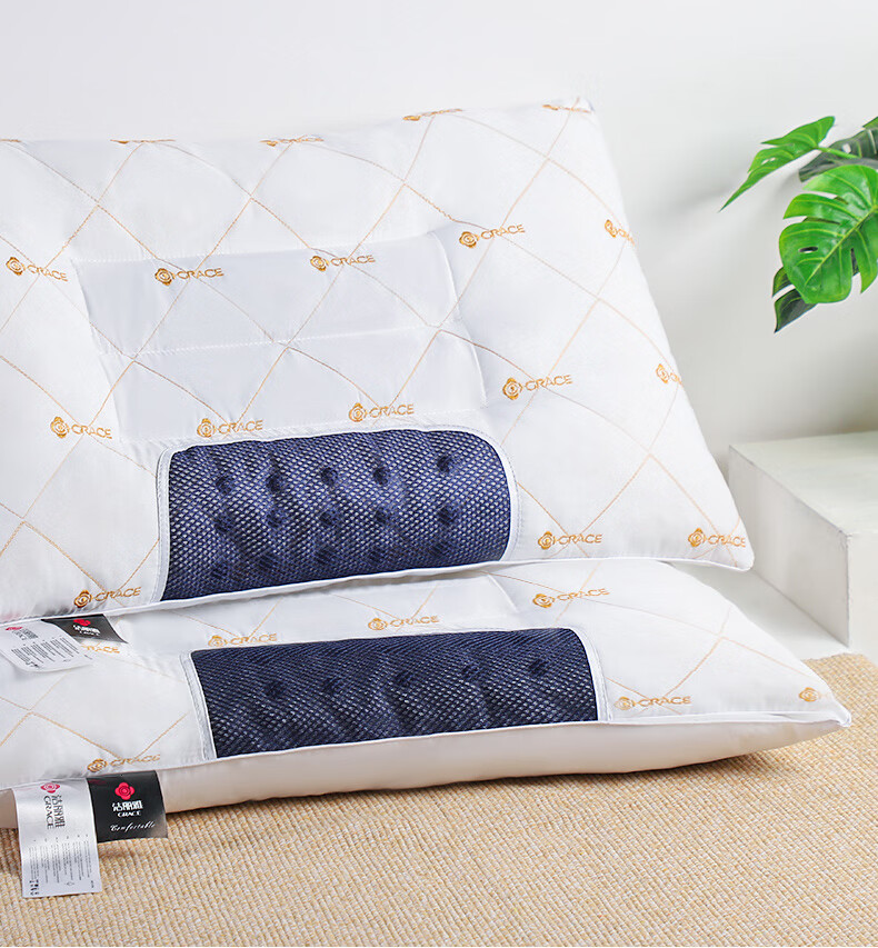 Grace Cassia Seed Pillow Core Cervical Pillow Star-Rated Hotel Herbal Pack Magnetic Pillow 48*74cm 3