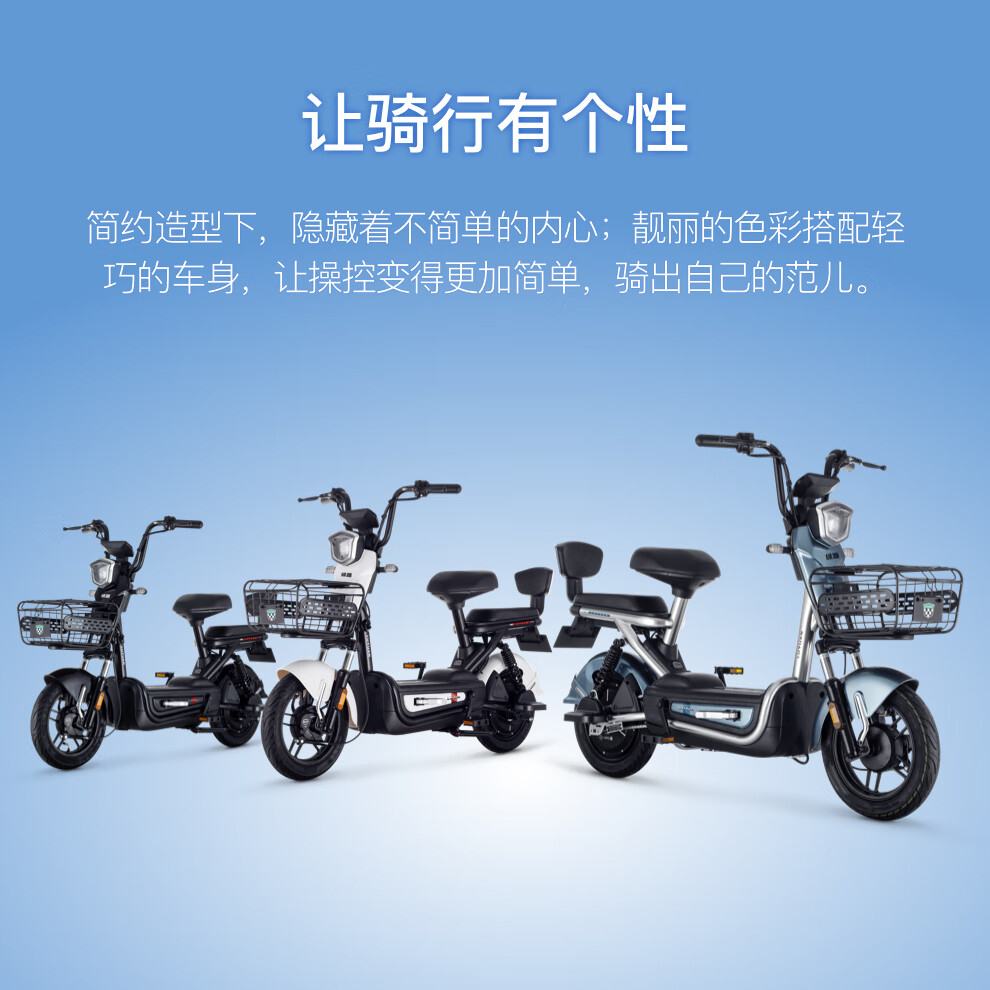 【绿源tdt2037z】绿源48v24ah 锂电池电动自行车 fae 男女通勤代步