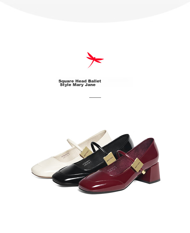 RED DRAGONFLY Mary Jane Shoes, Elegant French-Style Leather Shoes for Spring And Autumn, Chunky Heel Women's Pumps, WTB24677, Black, Size 39 3