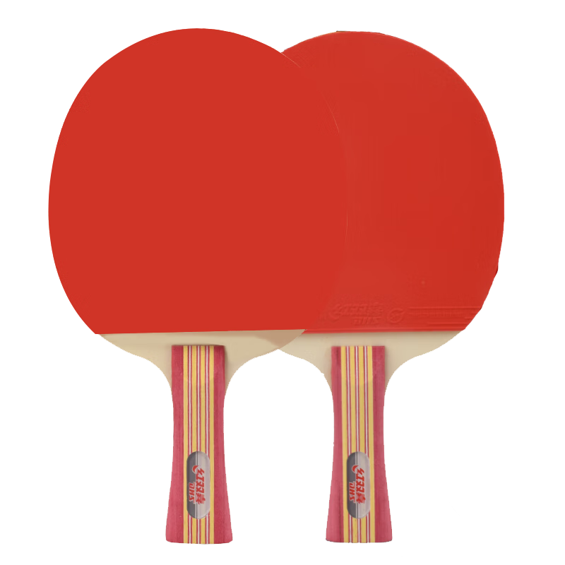 DHS Beginner Table Tennis Racket (Jingcang Fast Delivery + 7 Balls), Type I L-Shaped Handle, Double Racket Set