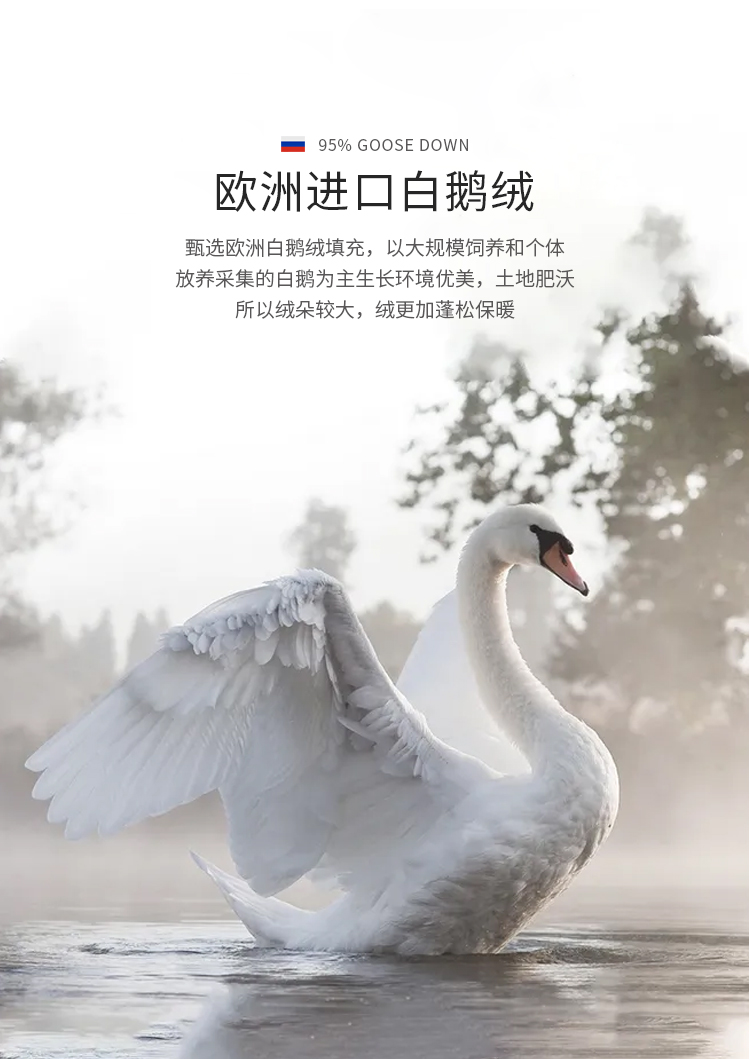 88563-CELEN羽绒被 欧洲进口 羽绒被芯95%白鹅绒被芯80支 五星级酒店家用双人秋冬被子加厚 95%白鹅绒(冬被) 200*230cm(适用1.5/1.8m床)-详情图
