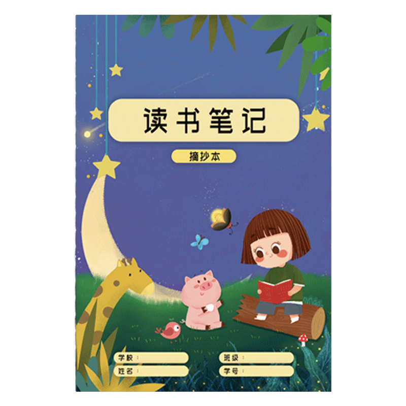 Faramon Reading Notebook, Chinese Language Extract Book, Elementary School Student Reading Record Card, Second to Fourth Grade Good Words And Sentences Vocabulary Reading Accumulation Book, Girls' Style, 10-Pack Set