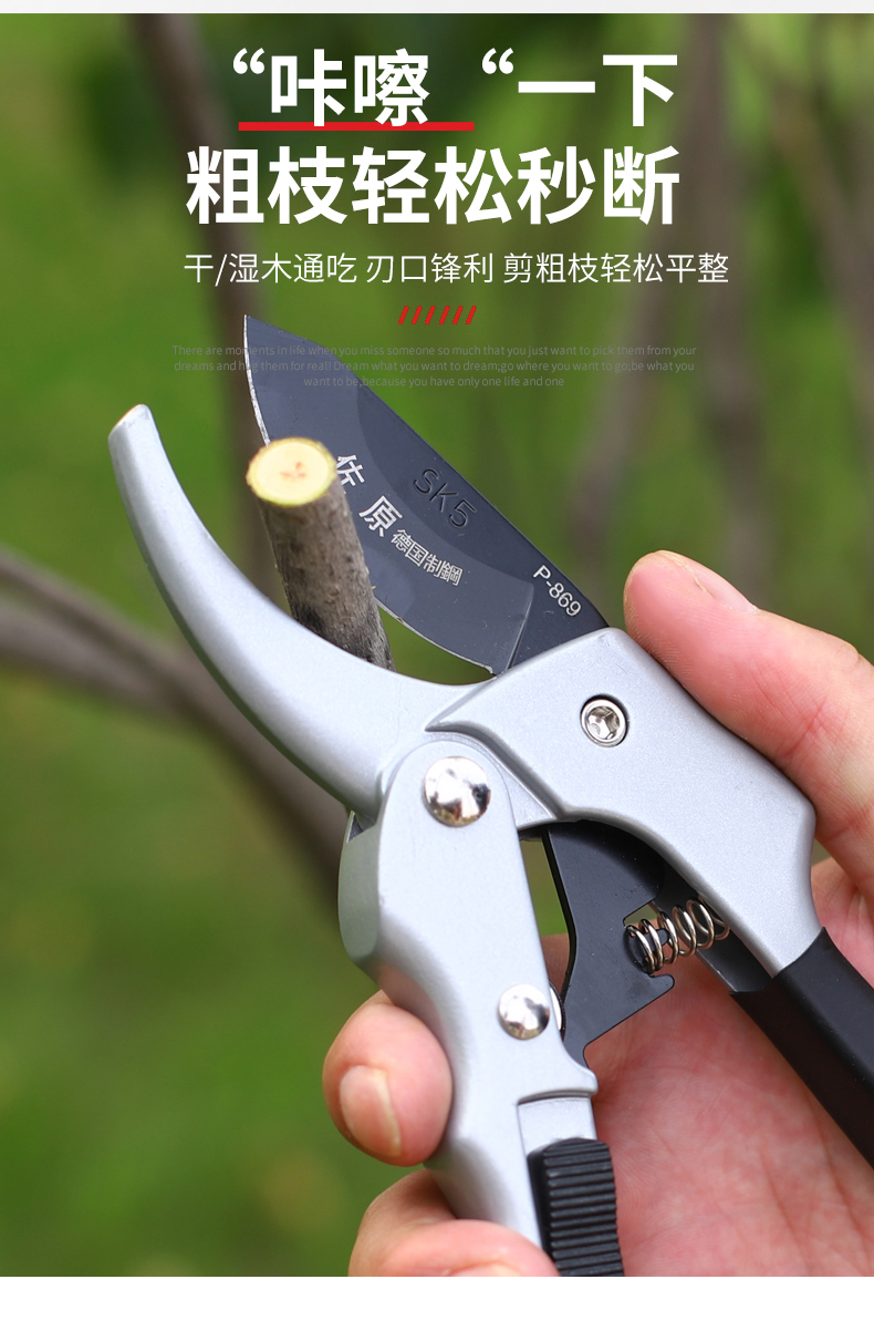 剪枝果树修枝剪刀园艺园林工具修剪家用剪子神器花剪剪枝剪刀修枝剪p8