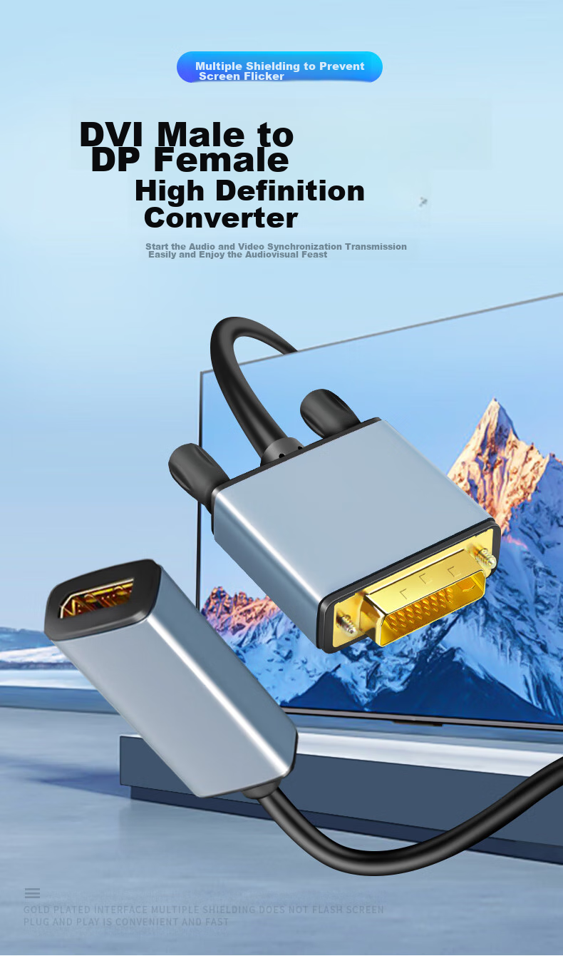Beishanque DVI to DP Converter Cable, DVI to DisplayPort Female Adapter Cable, Computer DP Monitor Adapter, BSQ-409 1