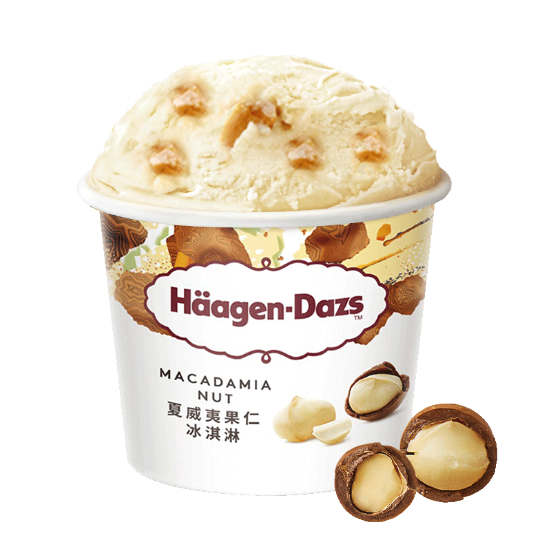 哈根达斯（Haagen-Dazs）经典夏威夷果仁口味冰淇淋 100ml/杯 雪糕