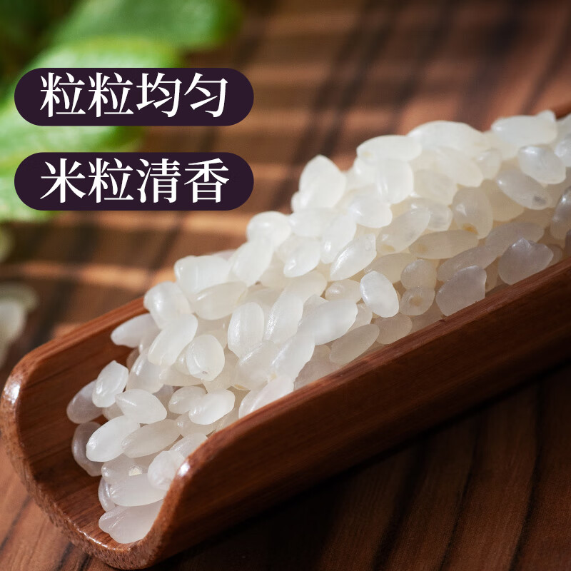 北纯 东北大米 珍珠米大米50斤装 当季新米 一级粳米