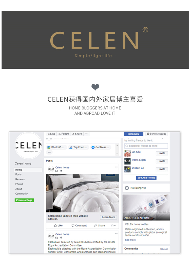 88563-CELEN羽绒被 欧洲进口 羽绒被芯95%白鹅绒被芯80支 五星级酒店家用双人秋冬被子加厚 95%白鹅绒(冬被) 200*230cm(适用1.5/1.8m床)-详情图