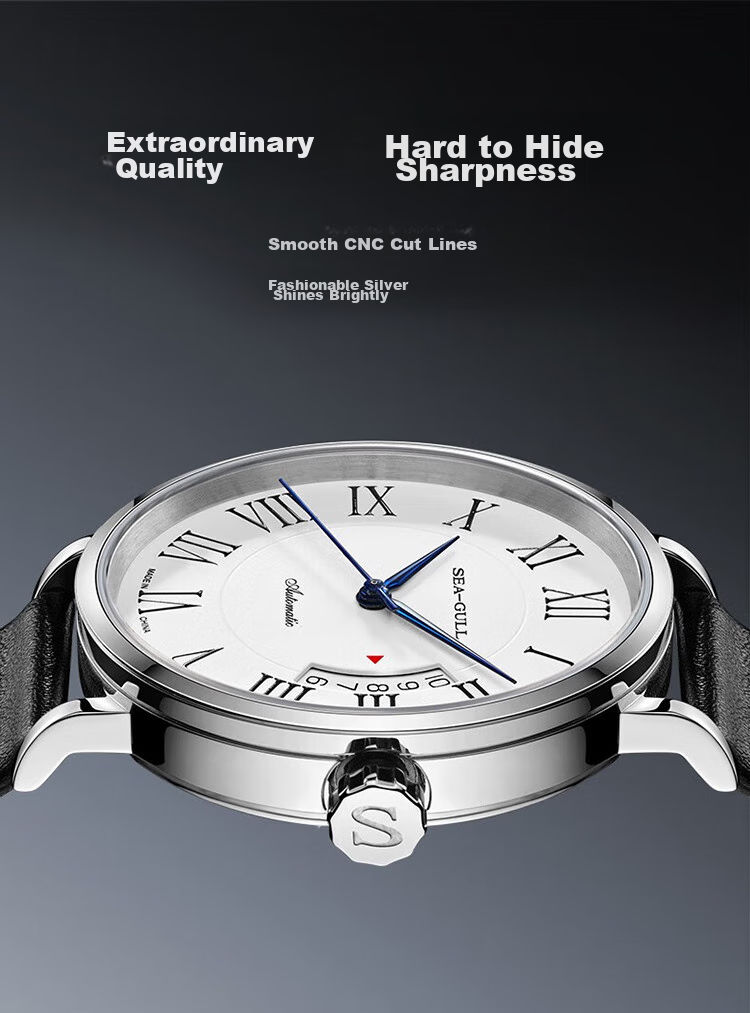 SEAGULL Men's Automatic Mechanical Watch, Bauhaus Date Display Men's Watch, Birthday Gift for Men, Model 6091 15