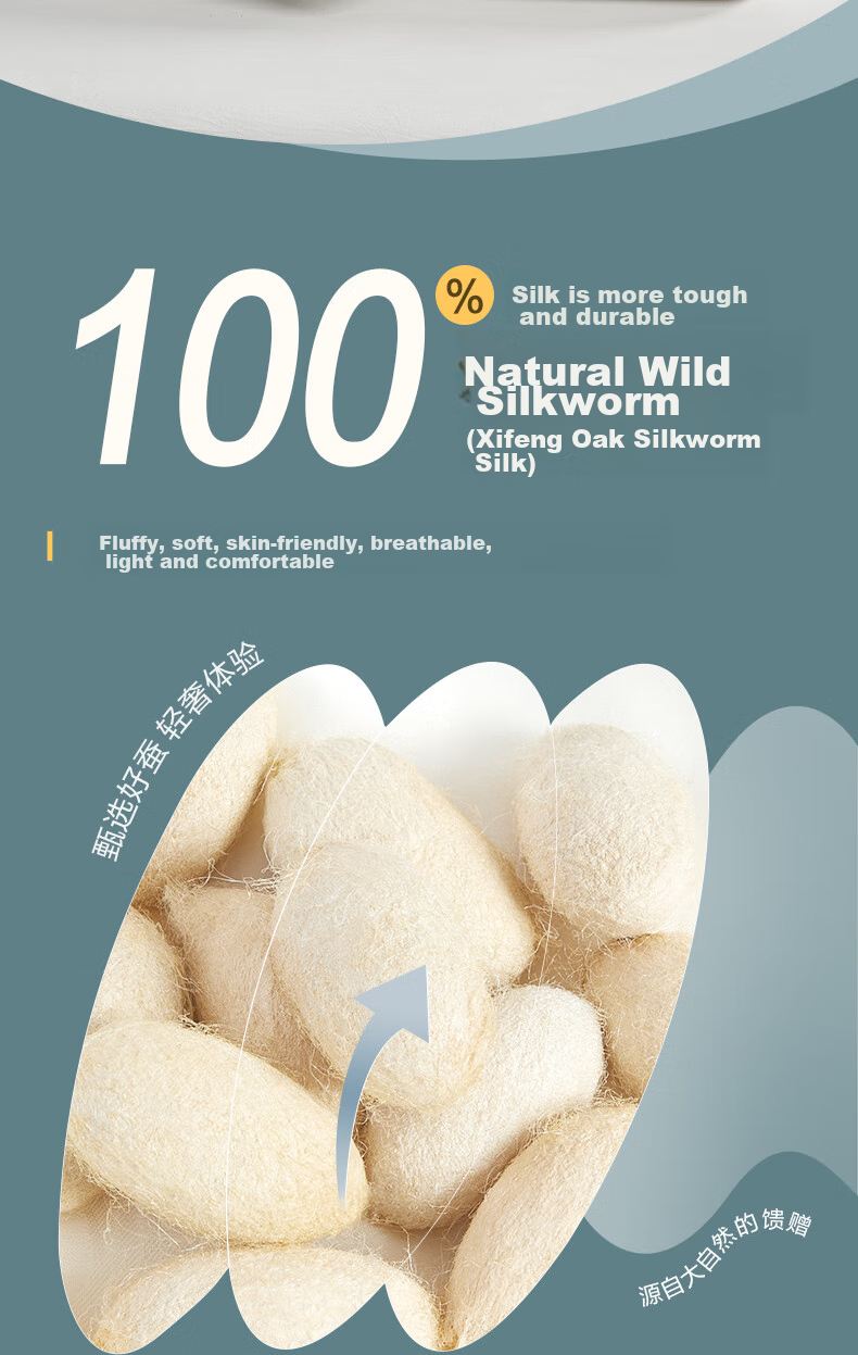 BEYOND Home Textiles 100% Silk Duvet, Antibacterial Thickened Spring And Autumn Comforter, Approximately 5.8 Jin (2.9 Kg), 220*240cm 2