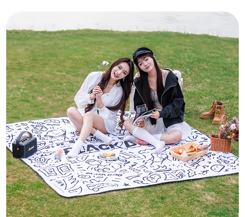 Black Dog Ultrasonic Picnic Mat, Moisture-Proof Mat, Park Outdoor Portable Ground Mat, Floor Mat, Night Black, 2*2m 3