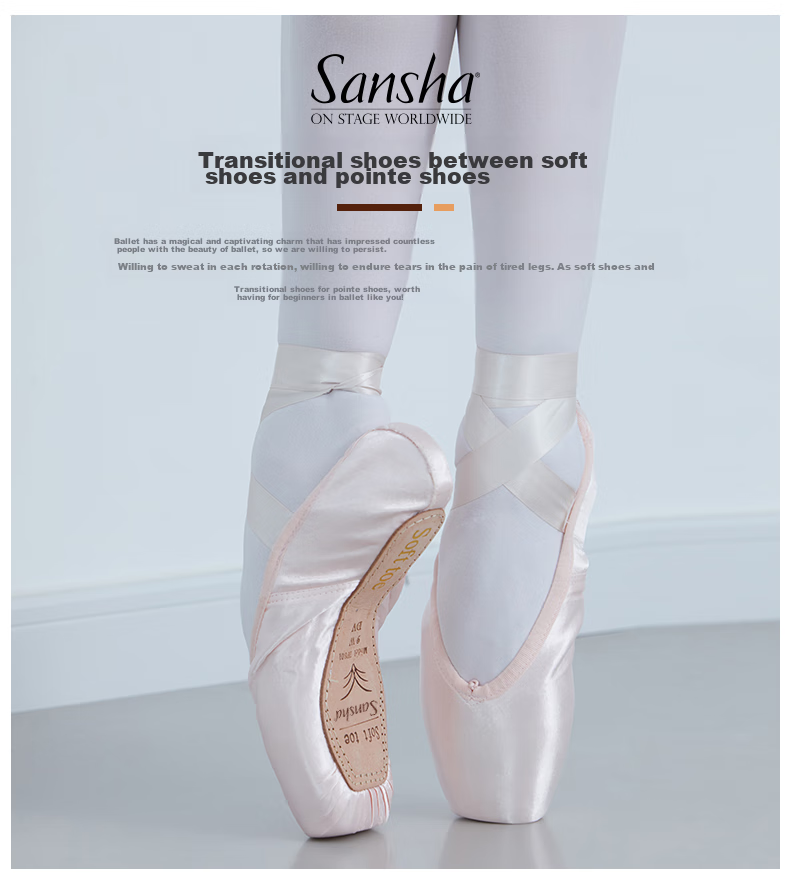 Sansha Princess Ballet Pointe Shoes, Satin Practice Shoes, Leather Sole Dance Shoes, Hard Shoes DP801SL, English Satin, Size 38 1