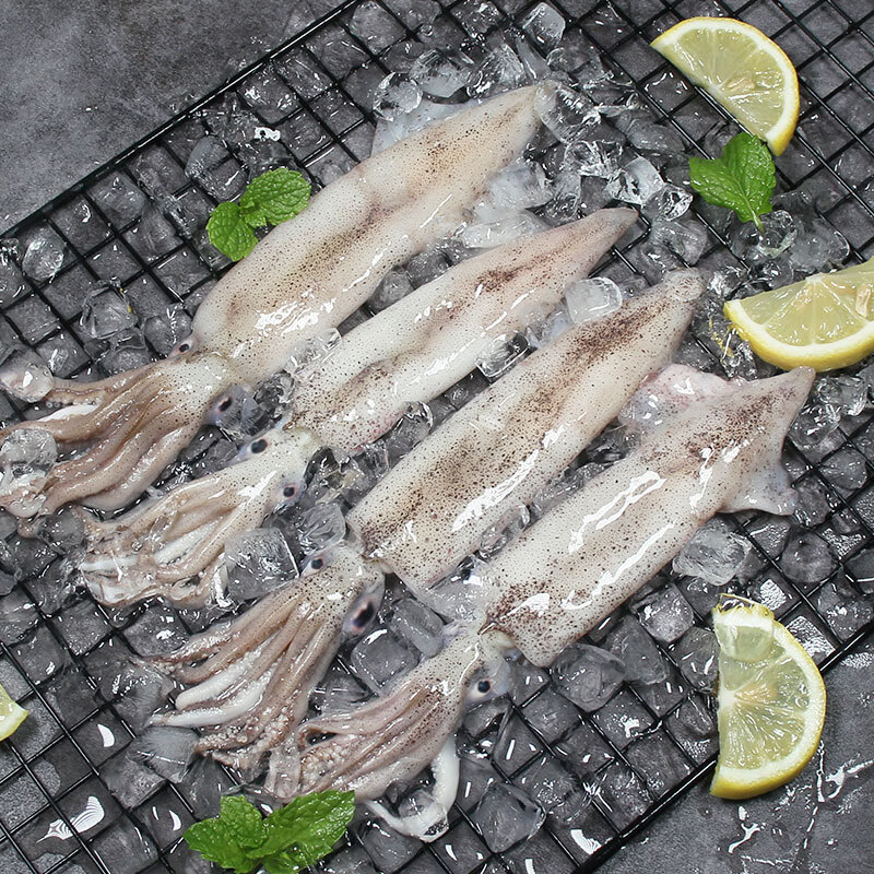 富海锦鲜冻笔管鱿鱼1斤鱿鱼 海兔子 墨斗鱼 火锅烧烤食材海鲜生鲜软足类