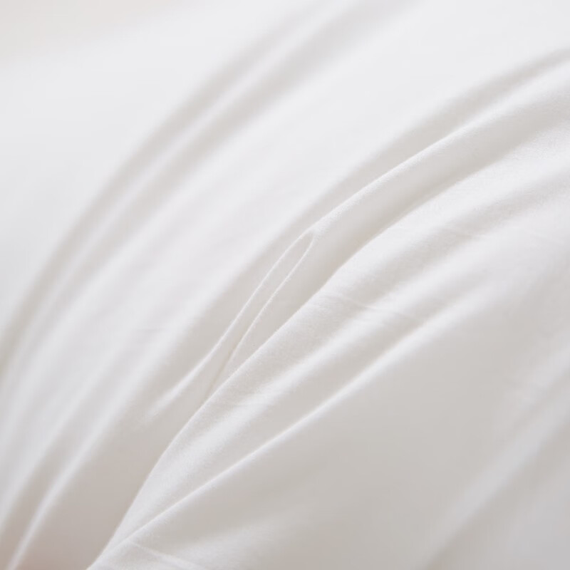 Hengyuanxiang Pure Cotton Pillow Insert, Backrest Cushion, Square Sofa Pillow, 50*50cm