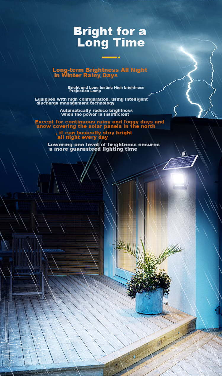 Intelamp Solar Garden Lighting, Motion Sensor Light, Outdoor Yard Entrance Road Light, Automatic Illumination at Night, Light Control, Remote Control 4