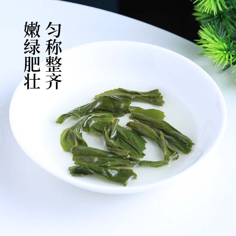 徽六绿茶六安瓜片茶叶礼盒240g 特一级2025新茶雨前头采 送领导送长辈