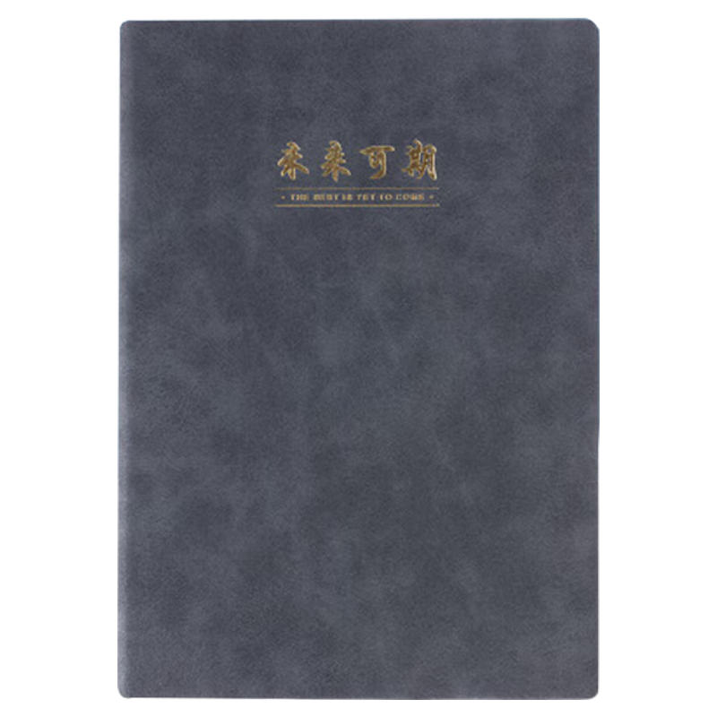 M&G Stationery A5/120 Sheets Meeting Record Sheepskin Leather Cover Notebook, Thick Office Notepad, Business Journal, Gray Single Book APNFC011