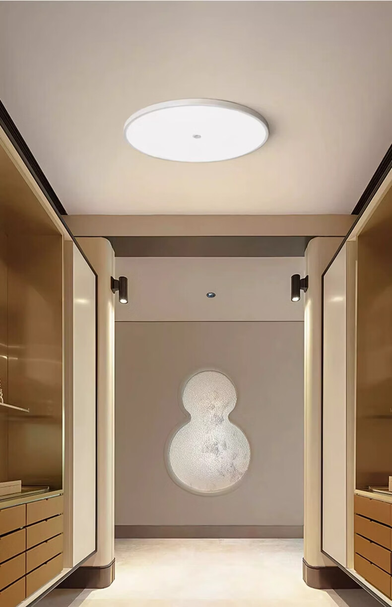 Fanyao LED Voice-Control Sensor Light Ultra-thin Three-proof Ceiling Mounted Light 18W Stairway Corridor Smart Lamp 6