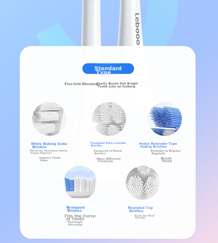 Hongmengzhixuan Lip Care Ice Mountain CP Set: Electric Toothbrush + Water Flosser Combo Gift Box, Birthday Gift, Wedding Gift, Coral Pink, Double Pack for Better Value 12