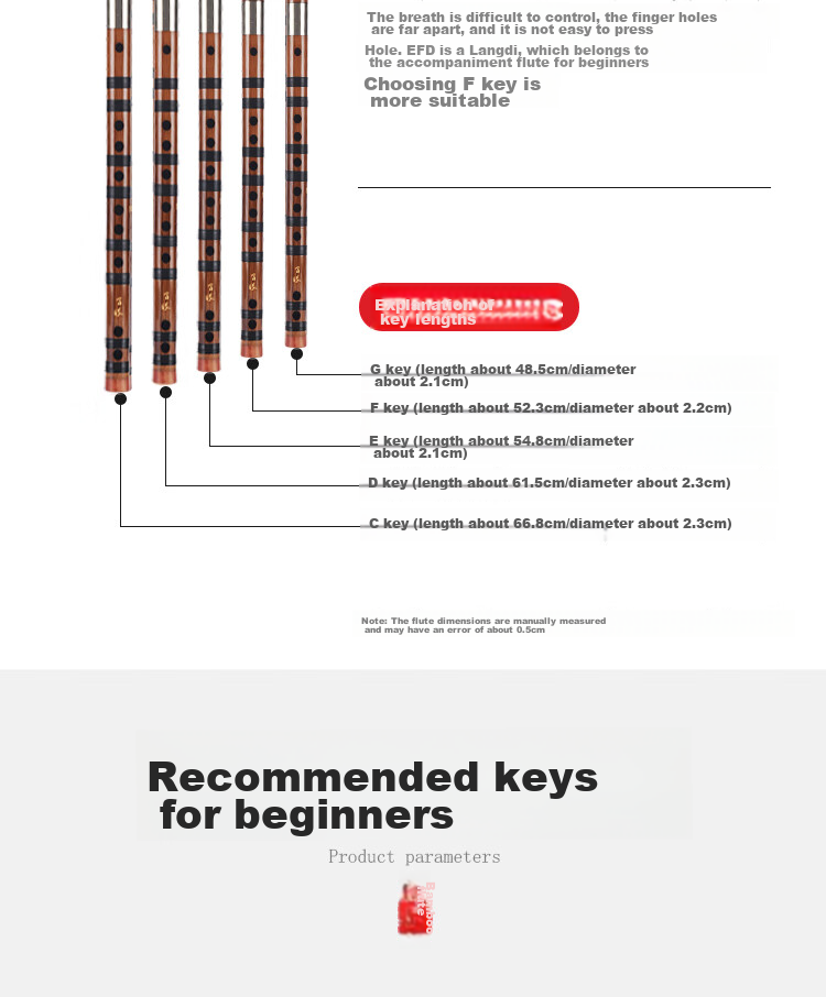 BAINUO Professional D Key Bamboo Flute for Beginners Adult Transverse Flute Student Grading Instrument with Blowing Aid 9