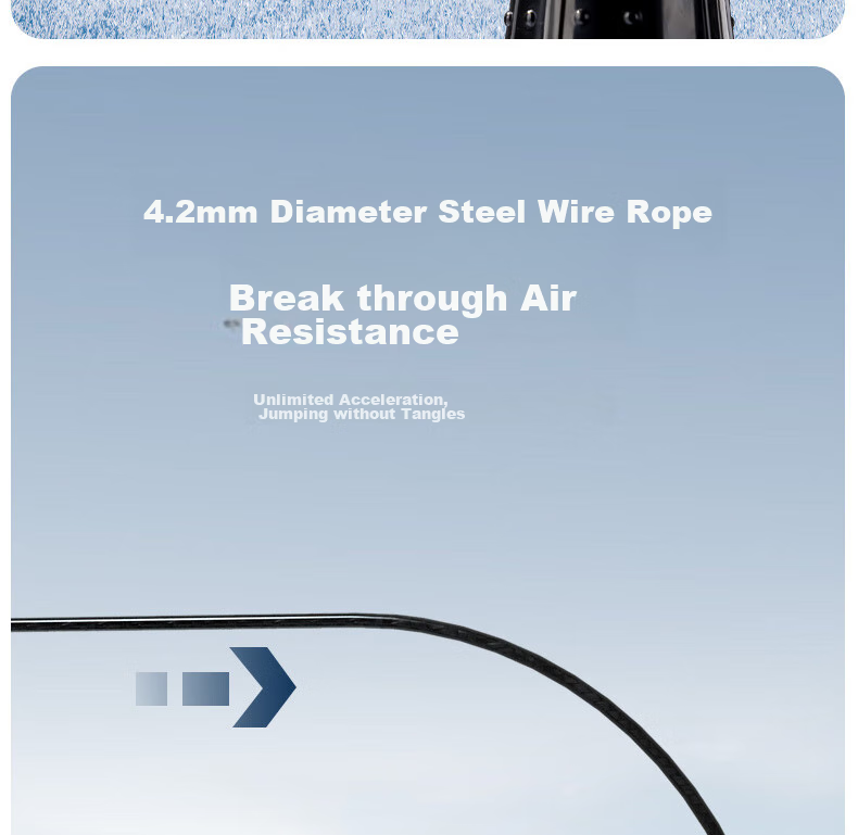 Deli Bearing Mechanical Counting Steel Wire Jump Rope for Students, Exam Fitness Training Rope, Black 7
