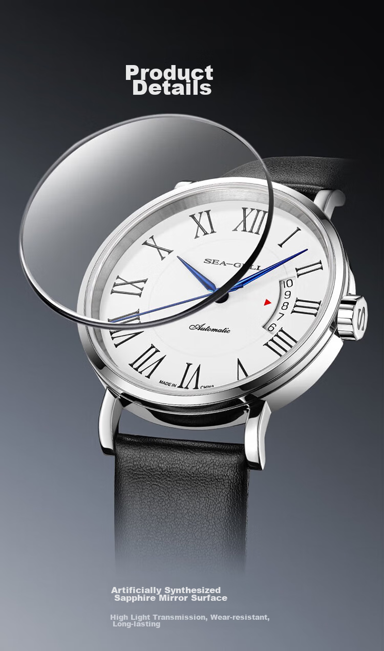 SEAGULL Men's Automatic Mechanical Watch, Bauhaus Date Display Men's Watch, Birthday Gift for Men, Model 6091 18