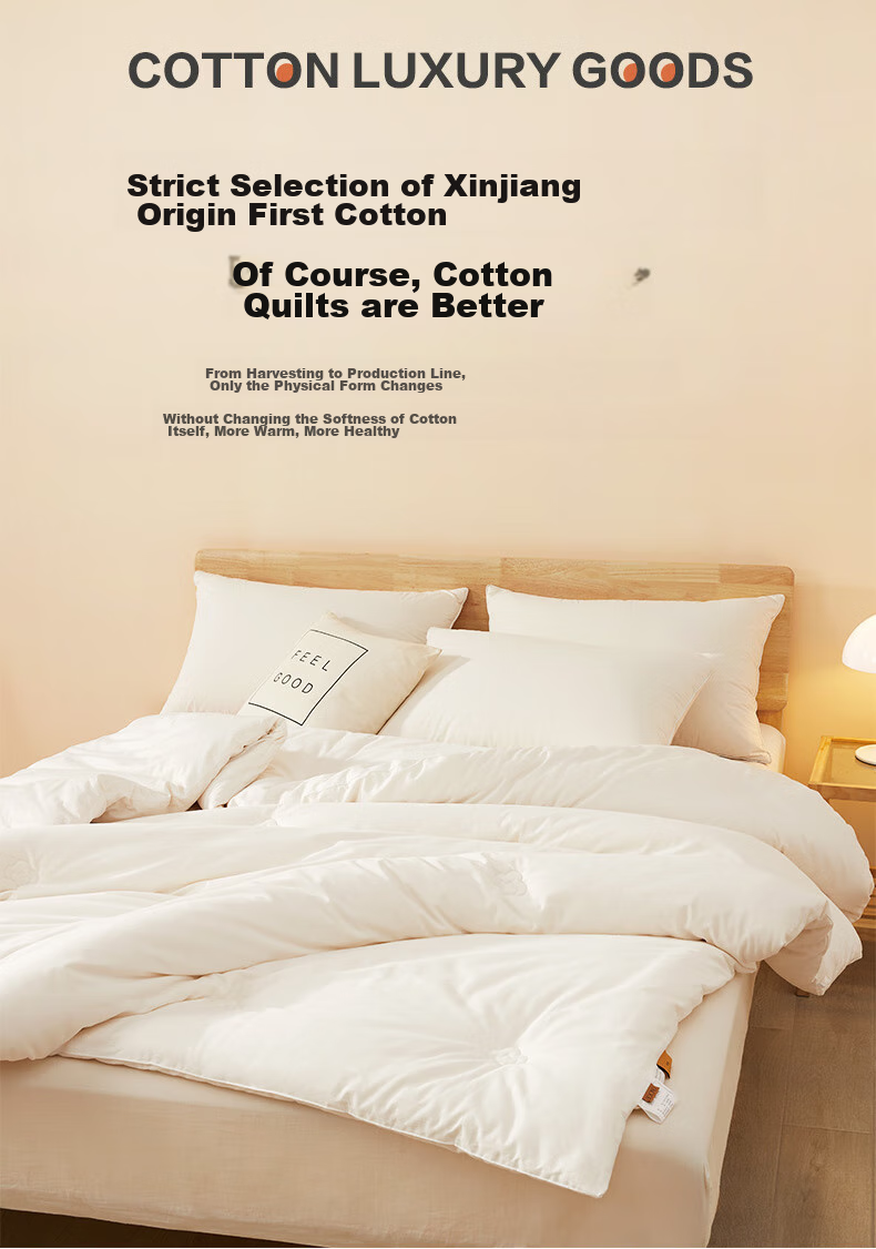 BEYOND Home Textiles, Maternal And Infant Class A Antibacterial, 100% Xinjiang Cotton Quilt, Thickened Winter Comforter, Duvet Insert, Approximately 6.3 Jin (3.15 Kg), 150*210cm 6