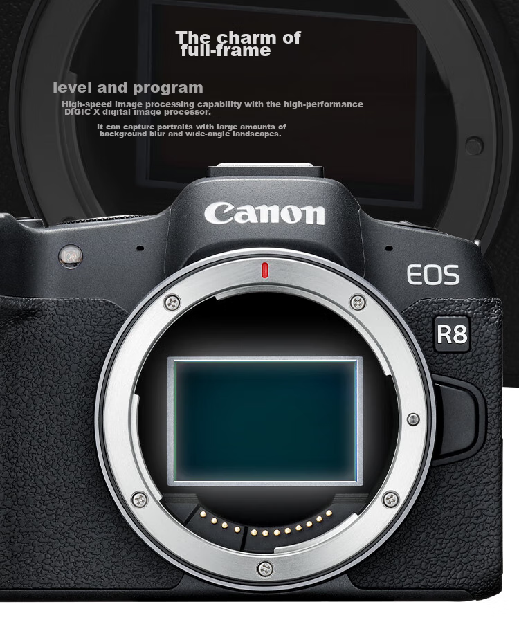 Canon [Official Flagship] R8 Mirrorless Camera, Portrait And Landscape Photography Specialized Camera for Travel, 4K Video Recording, Vlog, Full-Frame R8 with 24-50mm Lens Kit 7