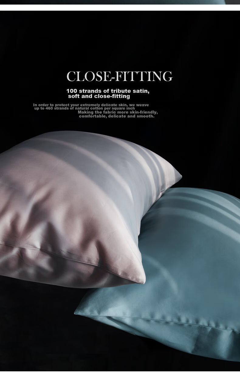 SIDANDA 100% Cotton Five-Star Hotel Pillow Core with Envelope Pillowcase, Water Blue Pillow Cover, Single Piece 48*74cm 5