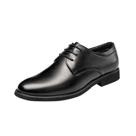 Aokang Leather Shoes for Men, Lace-Up Business Formal Dress Shoes, Fleece-Lined Cotton Shoes, Work Shoes, Black, Size 39