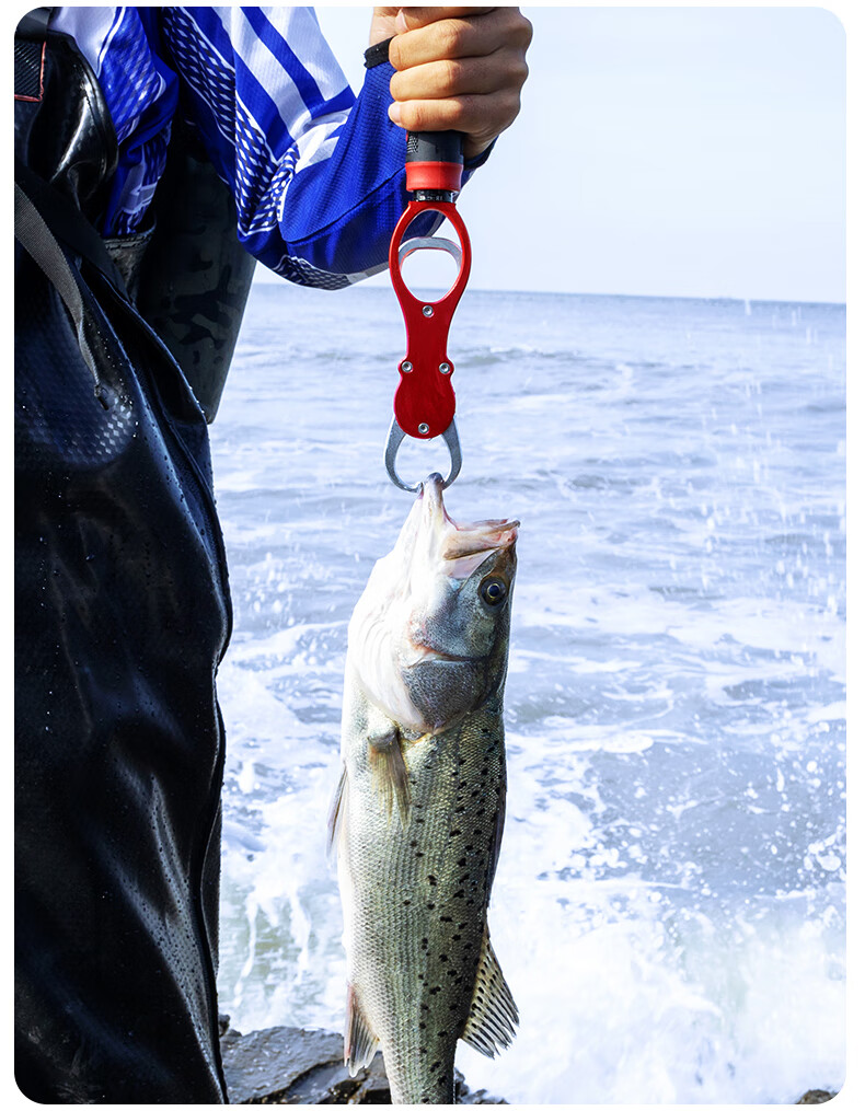 Grsaed Fish Controller with Scale, Multi-Functional Aluminum Alloy Fish Catcher, Fish Clamp, Fish Grabber, Fish Control Pliers with Lanyard, Blue 8