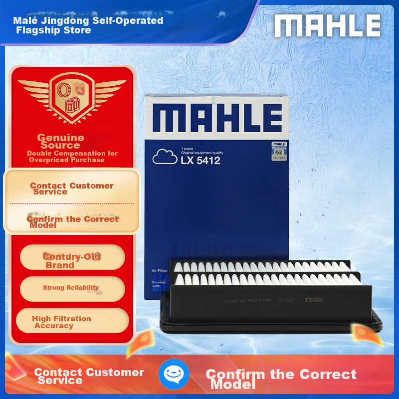 MAHLE (MAH-0110421