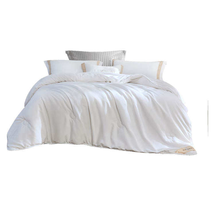 LUOLAI Home Textiles Duvet Insert, Washable 60% Soy Protein Fiber Spring Autumn All-Season Comforter, Net Weight 2.8 Ji