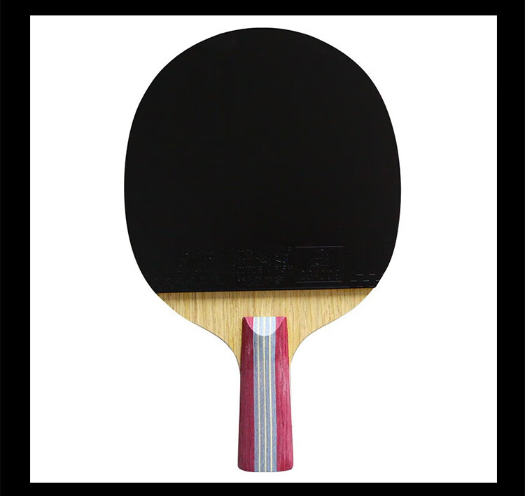DOUBLE FISH Straight Handle Entry-Level Table Tennis Racket for Elementary School Students, Beginners, And Entertainment Use, Double-Sided Reverse Rubber Ping Pong Paddle [1A+E + 2 Balls Included] 8