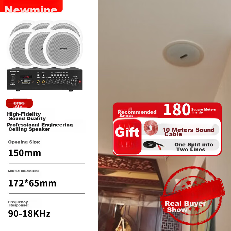 Newmine R16 Constant Voltage Ceiling Speaker Sound System Set, Suspended Ceiling Background Music Public Address Amplifier Speaker System (One-To)