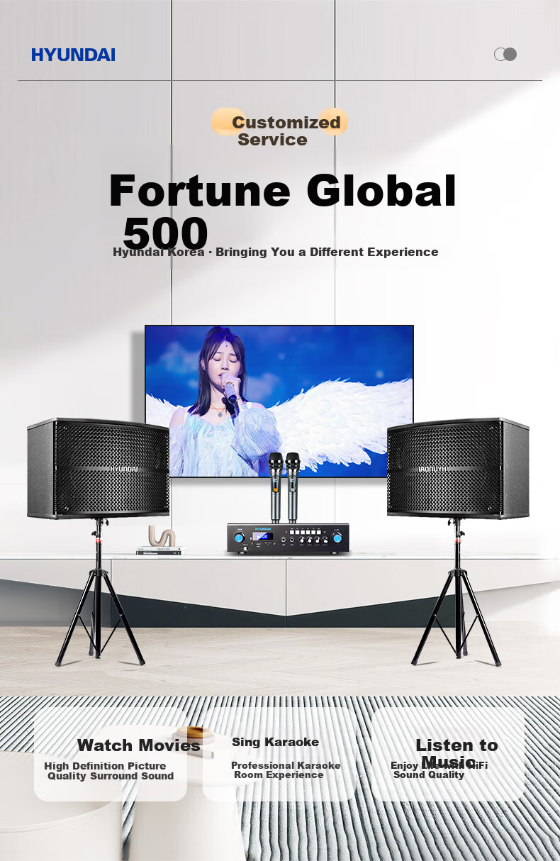 HYUNDAI Home Theater KTV Sound System Set, Professional Amplifier for Living Room, Conference Room, Karaoke, Complete Package with Speakers And Equipment for Shops And Karaoke Venues 1