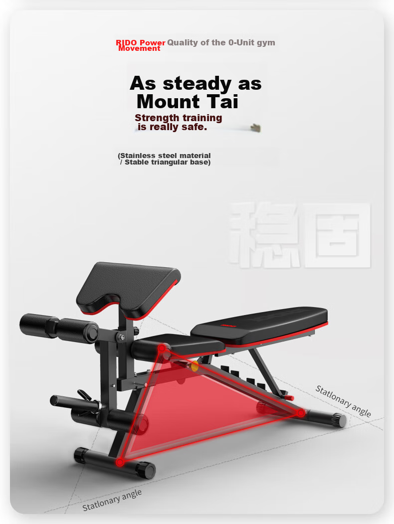 RIDO Multifunctional Dumbbell Bench, Bench Press Bench, Home Fitness Equipment, Exercise Chair, Fly Bench TD50 9