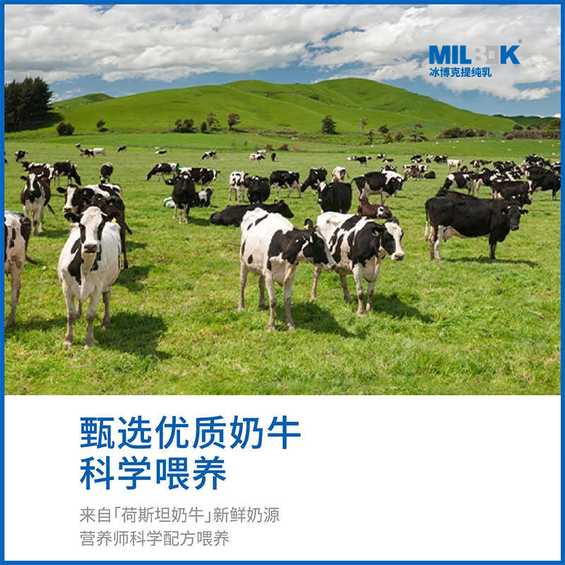 必如冰博克牛奶提纯乳低温牛奶1kg*1 芝士口感鲜奶6.2g优质蛋白鲜牛奶