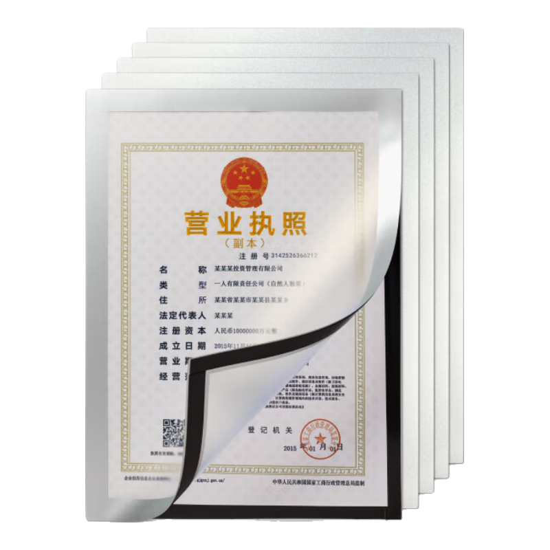 DSB (Dishibi) A4 Magnetic Display Stand, Business License Protection Cover, Original Frame, Certificate of Honor Protection Cover, Business License Display Frame, Silver, 5 Pieces, D12S5