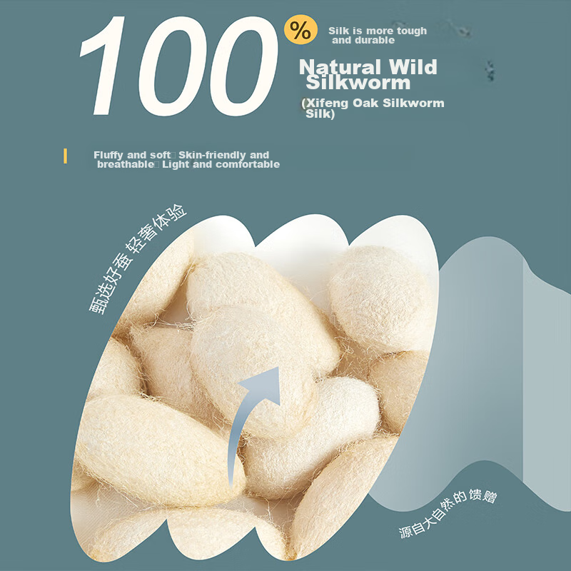BEYOND Home Textiles 100% Silk Duvet, Antibacterial Thickened Spring And Autumn Comforter, Approximately 5.8 Jin (2.9 Kg), 220*240cm
