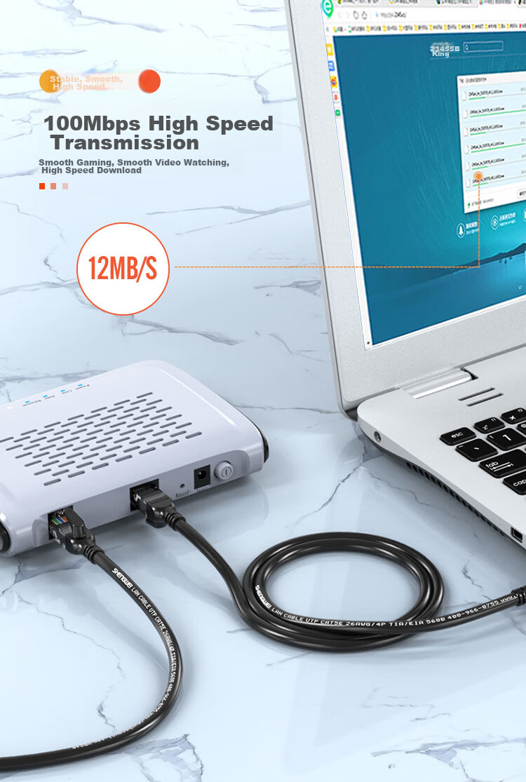 Shengwei Cat5e Ethernet Cable, 100Mbps Flame-Retardant Network Connection Cable, Cat5e Patch Cord, Computer Broadband Connection Cable, 5 Meters, WLC1005G 3