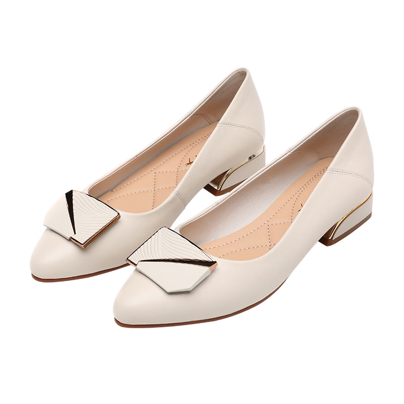 Red Dragonfly Women's Chunky Heel Pointed Toe Shallow Mouth Professional Work Leather Mid Heel Pumps WFB233882