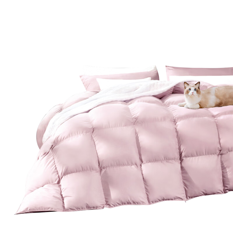 FUANNA down Comforter, 90% Grey Duck Down Duvet, Double-Size All-Season Comforter for Spring And Autumn, 750g Filling, 230x229cm