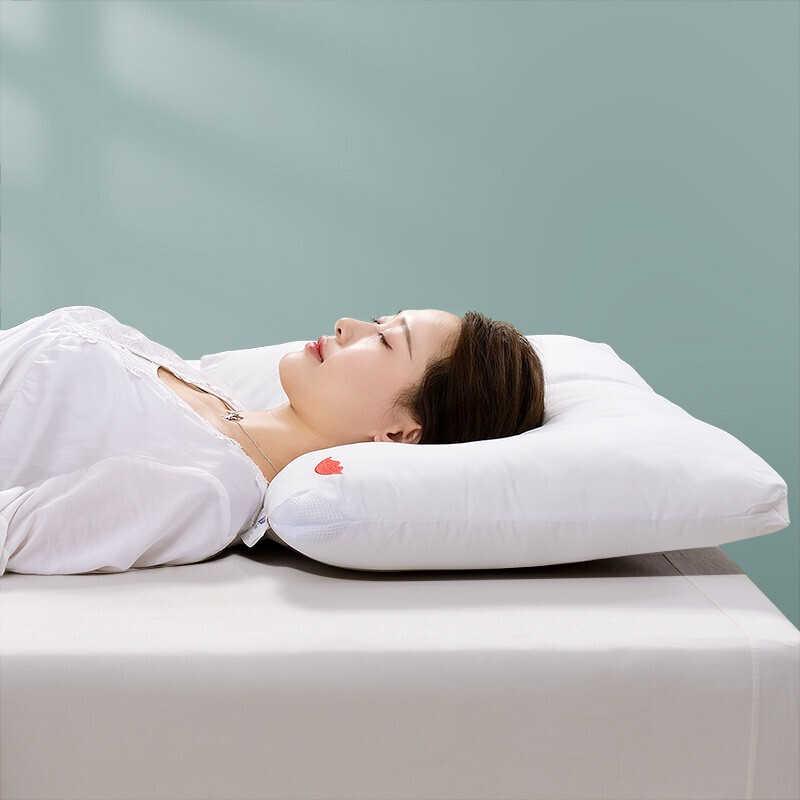 FUANNA Home Textiles Pillow Core, Couple Pillow Core for Wedding, Adult Pillow Washable, Honey Lip Ladies, 74*48cm