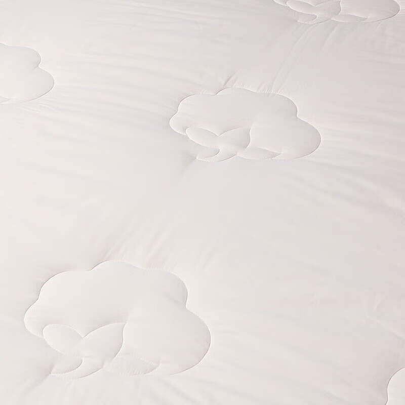 FUANNA 100% Xinjiang Cotton Quilt for Spring And Autumn, Pure Cotton Fabric Spring And Autumn Comforter, Cotton Filling, 3.3 Jin (1.65 Kg), 152*210cm
