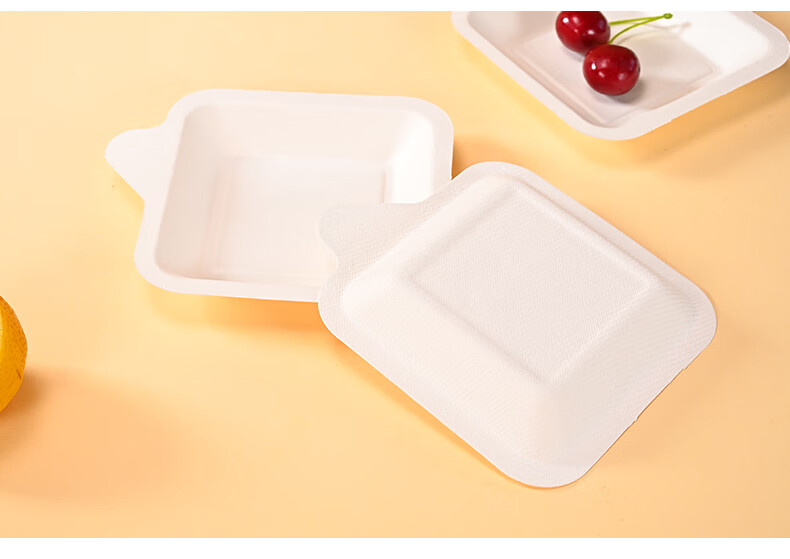 Babike Disposable Paper Plates, Cake Plates, Barbecue Plates, Western-Style Plates, Handmade Art Drawing Paper Plates, 8 Inches, 20 Pieces 14