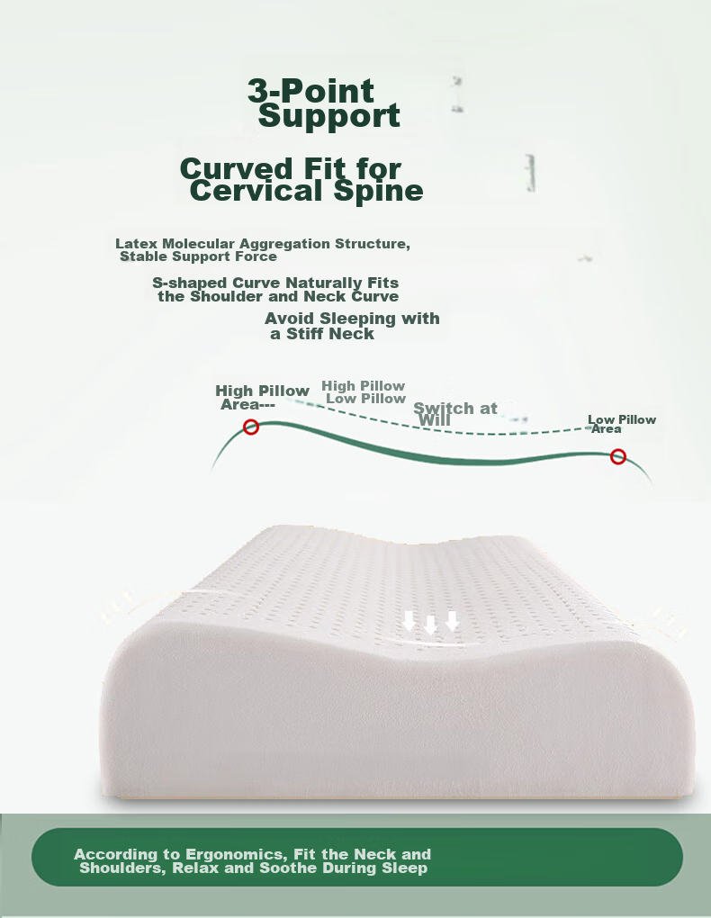 AVIVI Thai Latex Pillow Core Neck Support Pillow for Sleep Aid, Adults, Students, Children, 30*50cm, Pure White 10