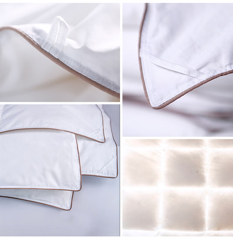 Sinuoman High-Quality 100% Imported 95% White Goose Down Duvet Insert, Comforter for Air Conditioning And Heating, 2.2*2.4m, 320g Filling, Gray 24
