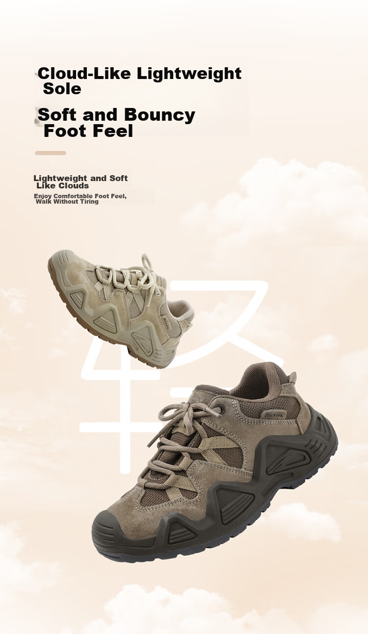 Dickies Children's Shoes, Spring And Summer New Running Shoes, Casual Shoes for Young Boys, Travel Shoes, Durable Shock-Absorbing Hiking Sports Shoes for Boys 10