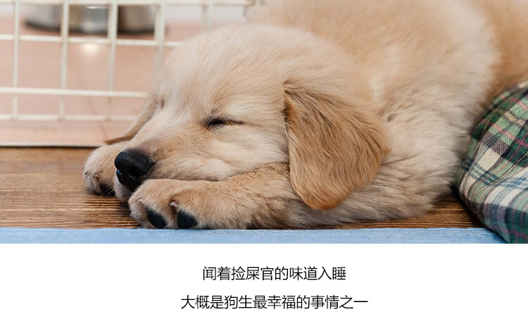 品牌故事_04.jpg
